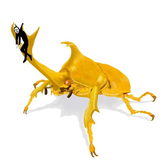 black-box：脳内観察 カブトムシ 04