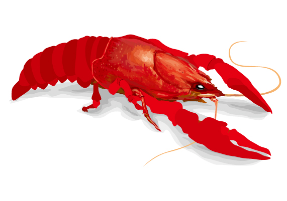 �U���K�j04