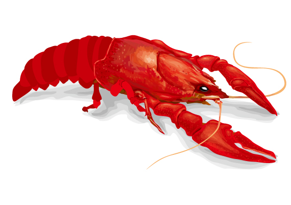 �U���K�j045