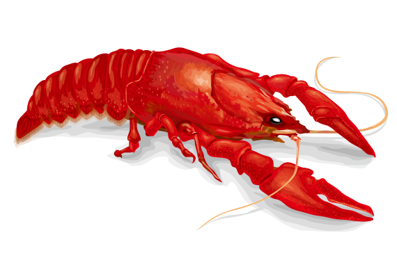 �U���K�j65